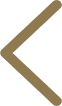 Anterior